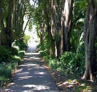 Adelaide Botanic Garden - Broome Tourism