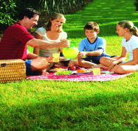 Bruny Island Berry Farm - Broome Tourism