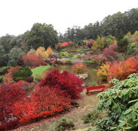 Emu Valley Rhododendron Garden - Broome Tourism