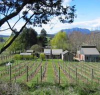 Wilmot Hills Vineyard - Broome Tourism