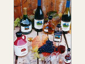 Hartzview Vineyard - Broome Tourism 0