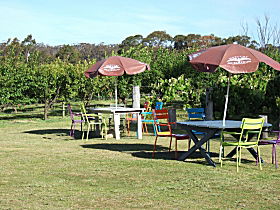 Cerise Brook Orchard & Family Golf - Broome Tourism 0