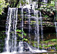 Mt Field National Park - Broome Tourism