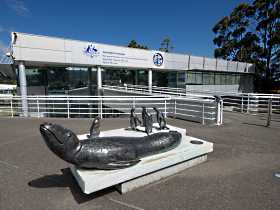 Australia's Antarctic Headquarters - Broome Tourism 0