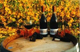 Craigow Vineyard - Broome Tourism 0