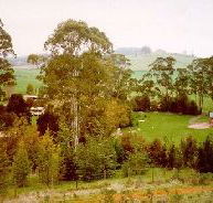 The Tasmanian Arboretum - Broome Tourism