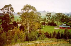 The Tasmanian Arboretum - Broome Tourism 0
