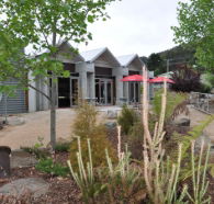 Tin Dragon Interpretation Centre and Cafe - Broome Tourism