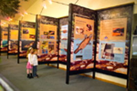 Platypus Experience - Broome Tourism 0