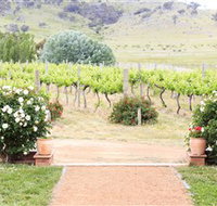 Brindabella Hills Winery - Broome Tourism