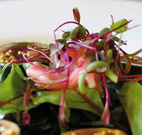 Courgette - Broome Tourism