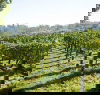 Surveyor's Hill Vineyards - Broome Tourism