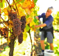 Native Point Wines - Broome Tourism