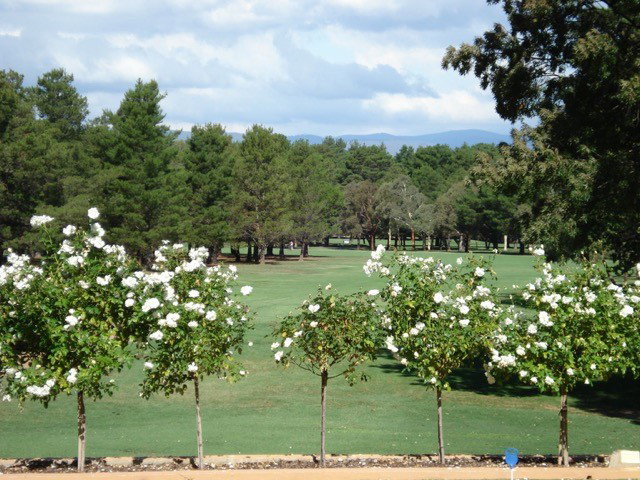 Central Canberra ACT Broome Tourism