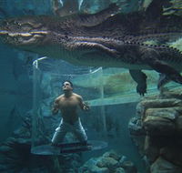 Crocosaurus Cove - Broome Tourism