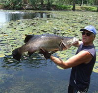 Barra Feeding - Broome Tourism