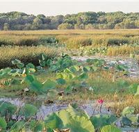 Fogg Dam Conservation Reserve - Broome Tourism