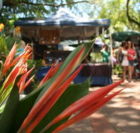 Nightcliff Markets - Broome Tourism