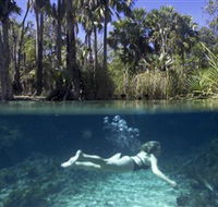 Bitter Springs - Broome Tourism