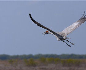 Gayngaru Wetlands Interpretive Walk - Broome Tourism 0