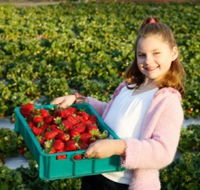 Strawberry Fields - Broome Tourism