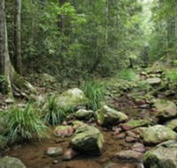 Amamoor State Forest - Broome Tourism