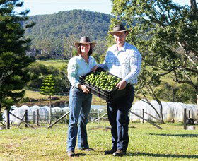 Hinterland Feijoas - Broome Tourism 0