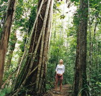 Wet Tropics - Broome Tourism