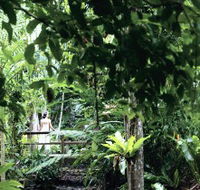 Flecker Botanic Gardens - Broome Tourism