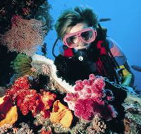 Osprey Reef - Broome Tourism