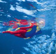 Pixie Pinnacle Dive Site - Broome Tourism