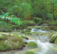 Mossman Gorge Daintree National Park - Broome Tourism