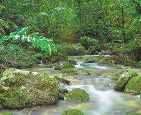 Mossman Gorge, Daintree National Park - Broome Tourism 0