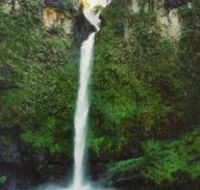 Nandroya Falls Circuit Track Wooroonooran National Park - Broome Tourism