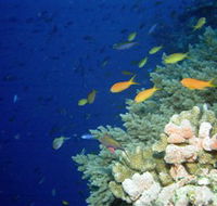 The Three Sisters Dive Site - Broome Tourism