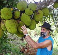 Cape Trib Exotic Fruit Farm - Broome Tourism