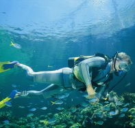 Tijou Reef - Broome Tourism