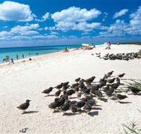 Michaelmas and Upolo Cays National Park - Broome Tourism