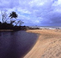 Russell River National Park - Broome Tourism