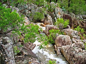 Crows Nest National Park - Broome Tourism 0