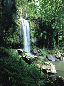 Curtis Falls, Joalah Section - Broome Tourism 0