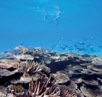 Australian Institute of Marine Science - Broome Tourism
