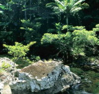 Conway State Forest - Broome Tourism