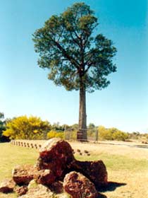  Broome Tourism