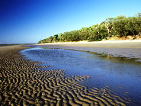 Burrum Coast National Park - Broome Tourism 0