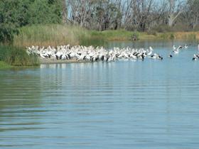 Lake Ross - Broome Tourism 0