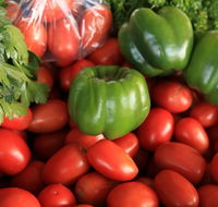 Burleigh Heads Markets - Broome Tourism
