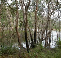 Mount Rooper Circuit and Swamp Bay Track - Broome Tourism