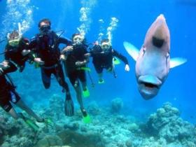 Henderson's Rock Dive Site - Broome Tourism 0