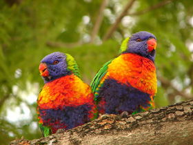 Blue Mountain Park - Broome Tourism 0